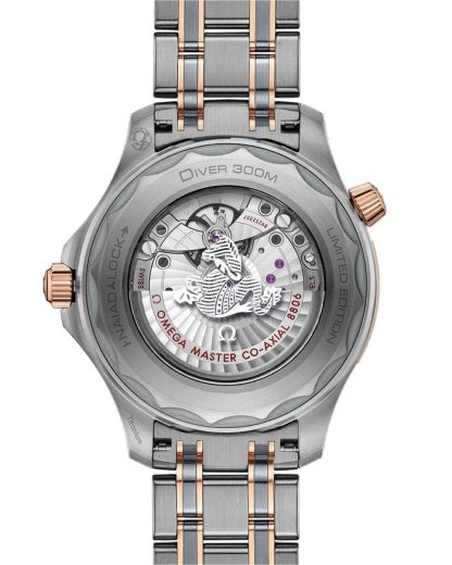 Omega Seamaster Diver 300M 42 mm, tytan - tantal - złoto Sedna™ na tytanie - tantalu - złocie Sedna™ 210.60.42.20.99.001 - obrazek 2